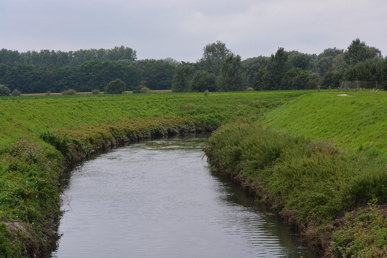 river nature waterway free photo