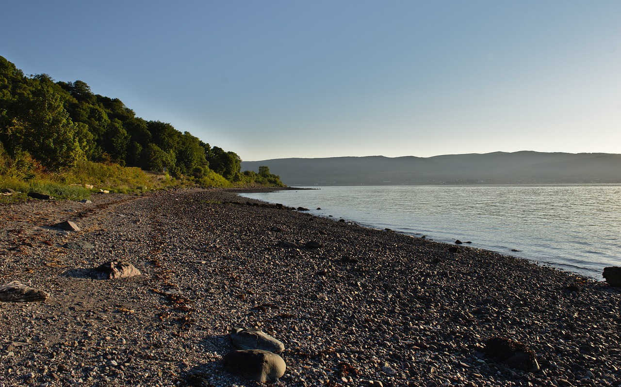 river  water  beach free photo