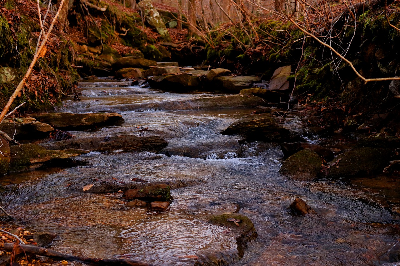 river  water  nature free photo