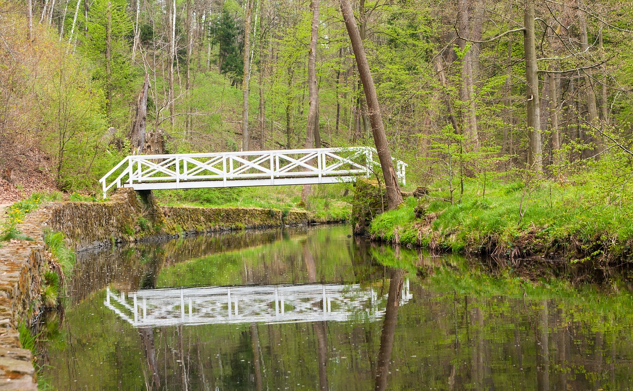 river  bach  bridge free photo