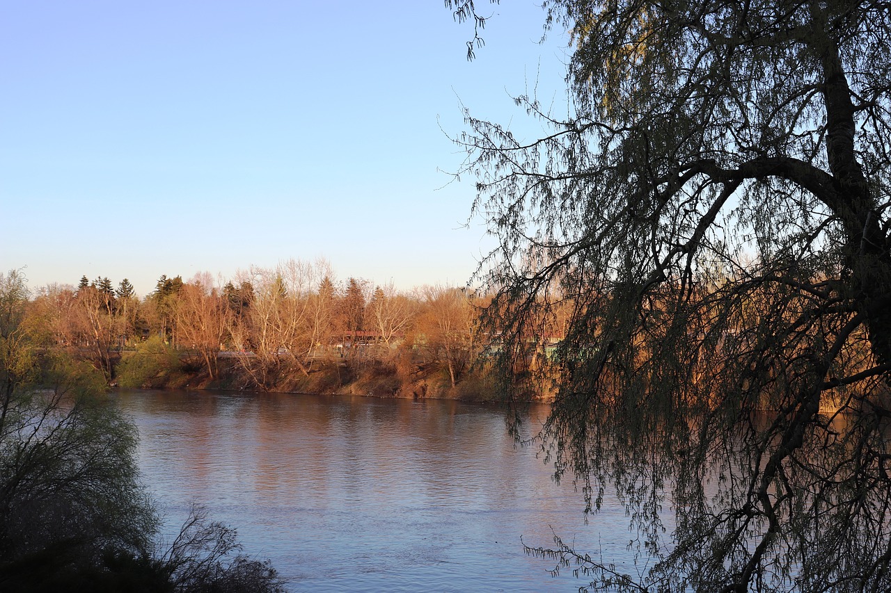 river  mures  arad free photo