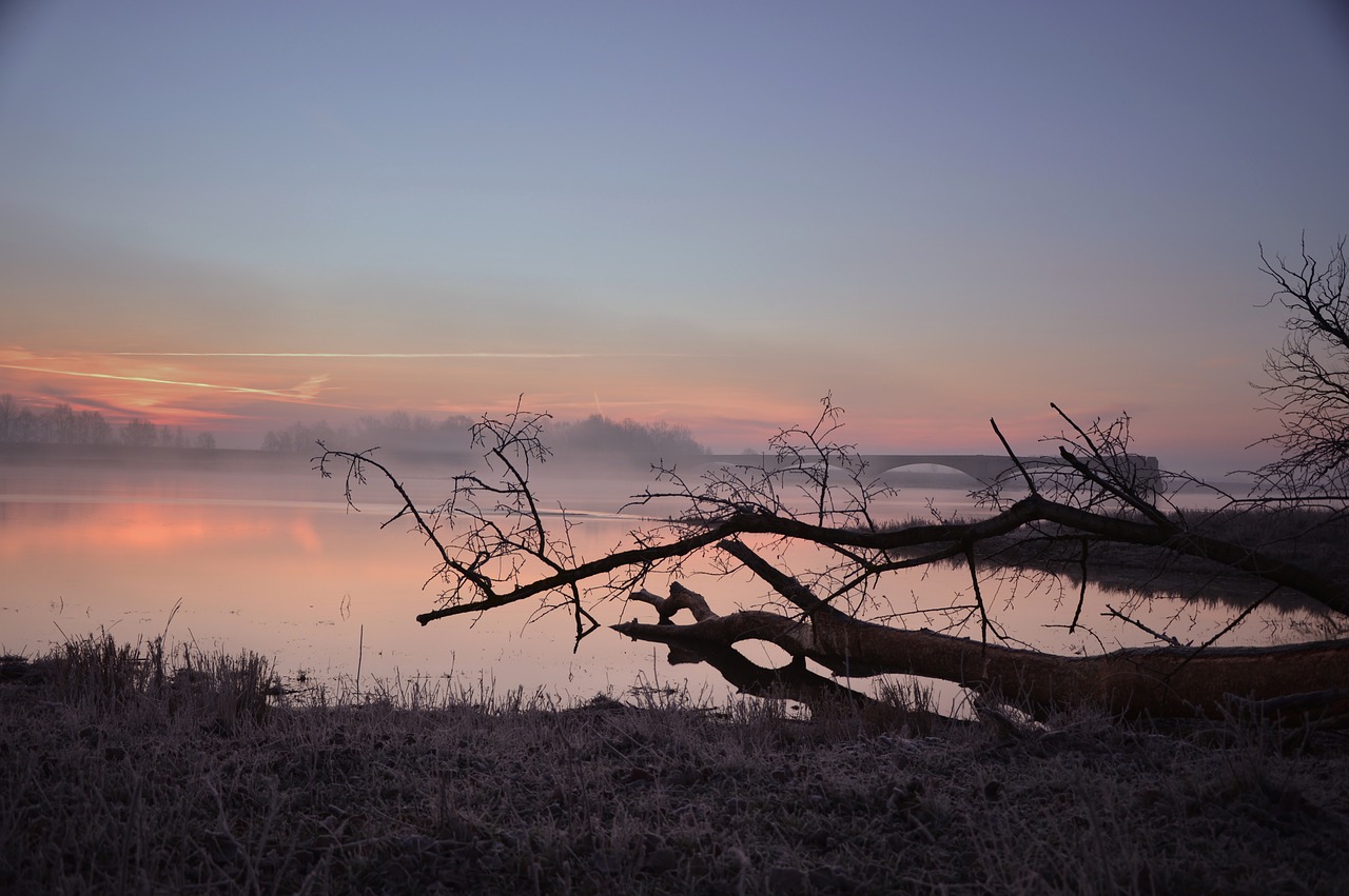 river  river landscape  bank free photo