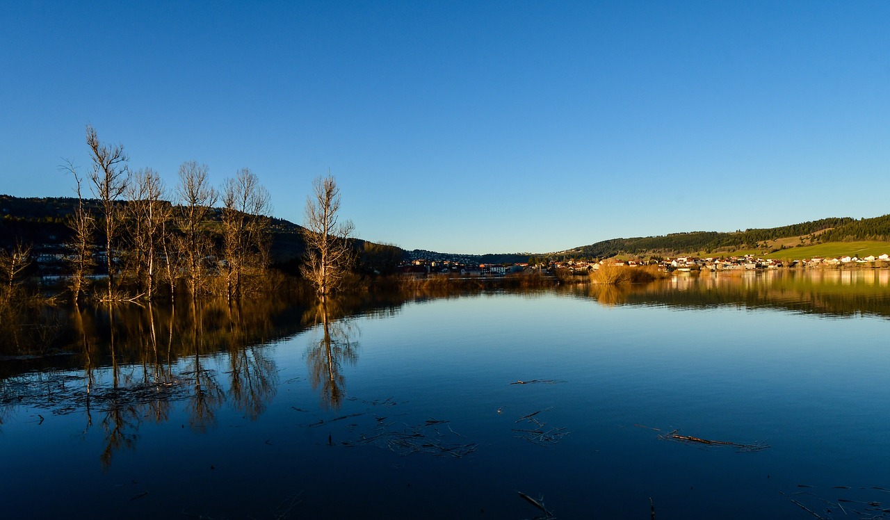 river  trees  flood free photo