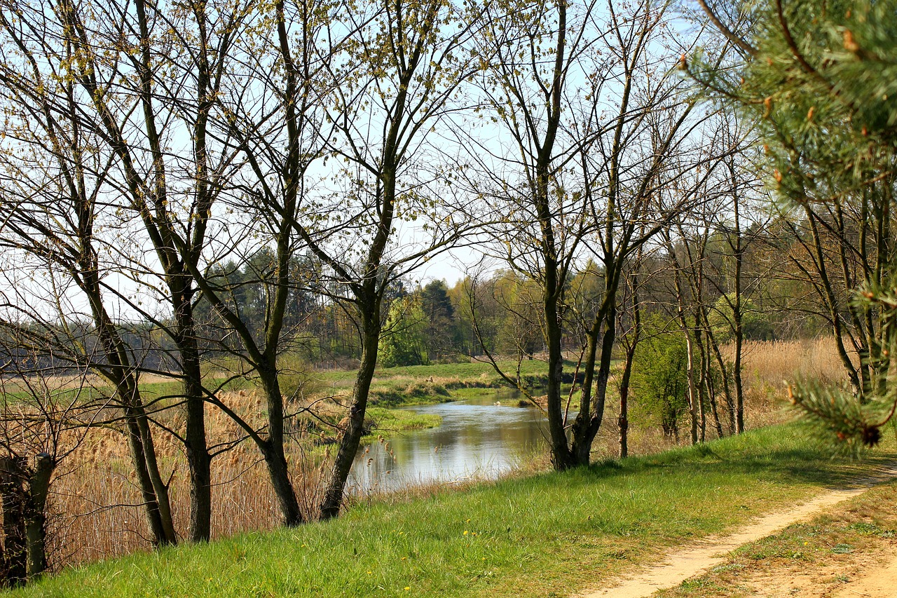 river  landscape  spring free photo