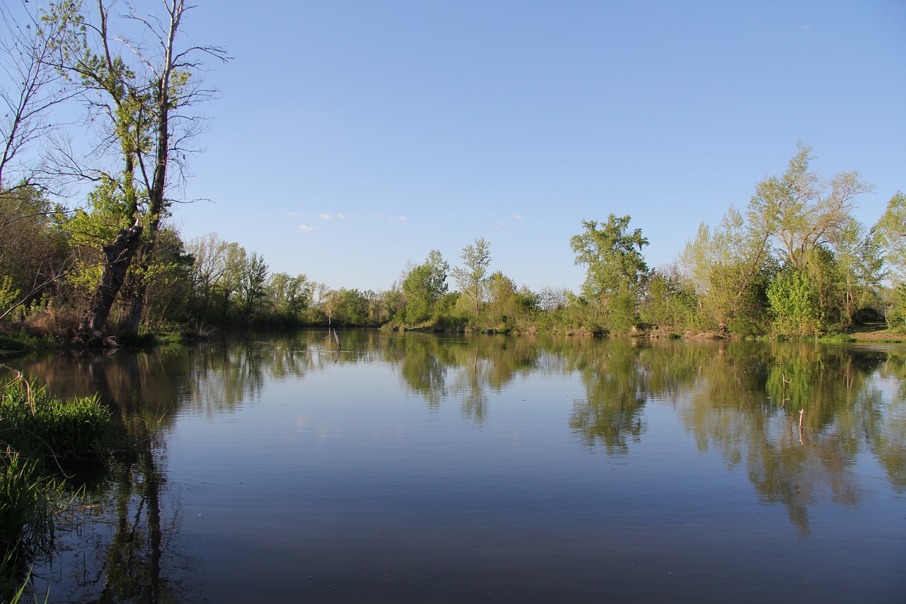 river  water  nature free photo