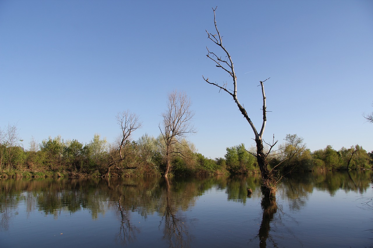 river  lake  water free photo