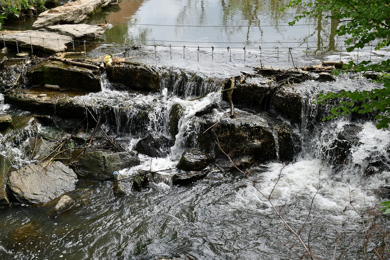 river  nature  water free photo