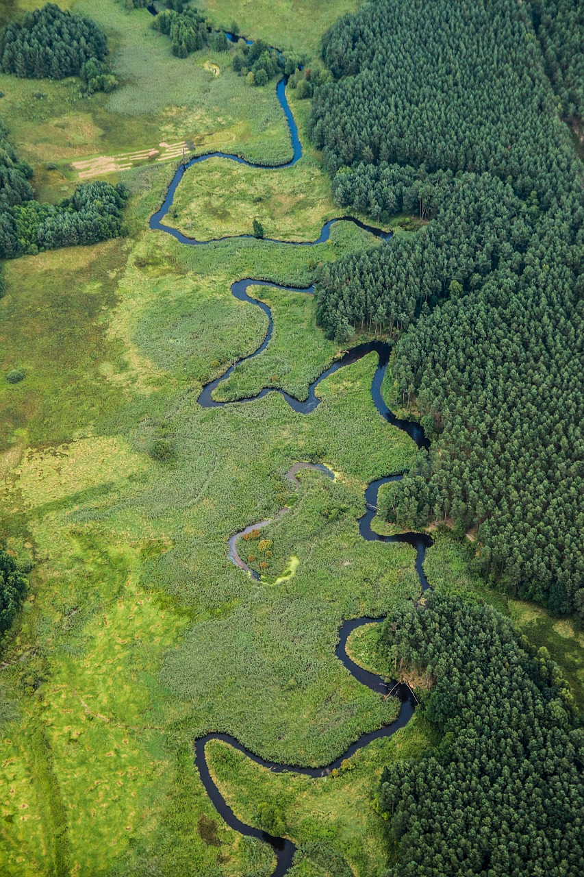 river landscape nature free photo