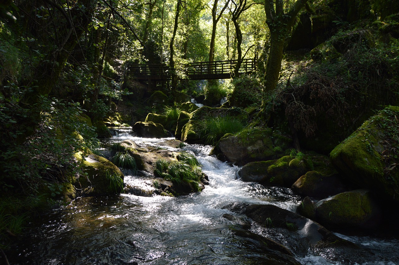 river  waterfall  nature free photo