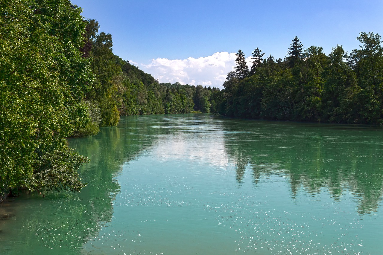 river  riparian zone  foam free photo