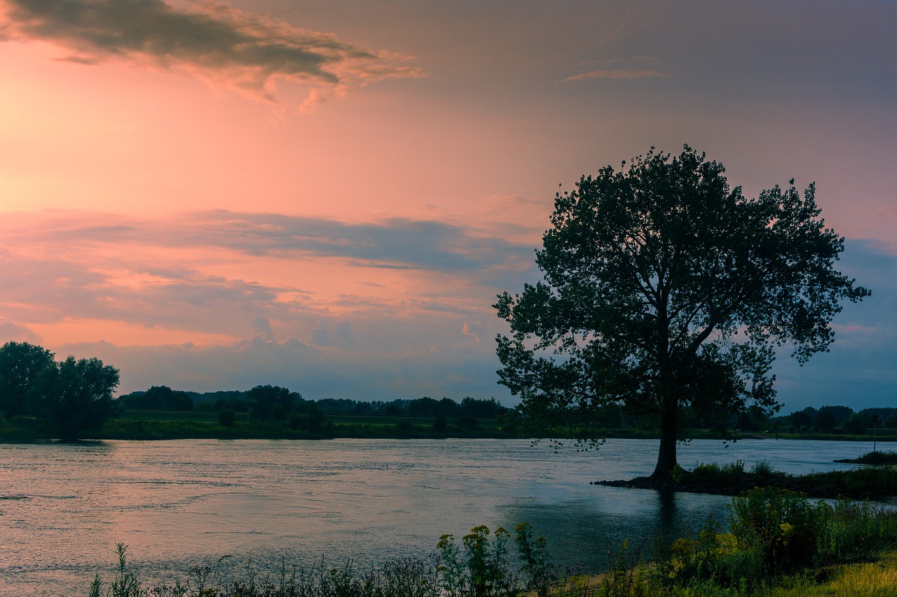 river  landscape  tree free photo