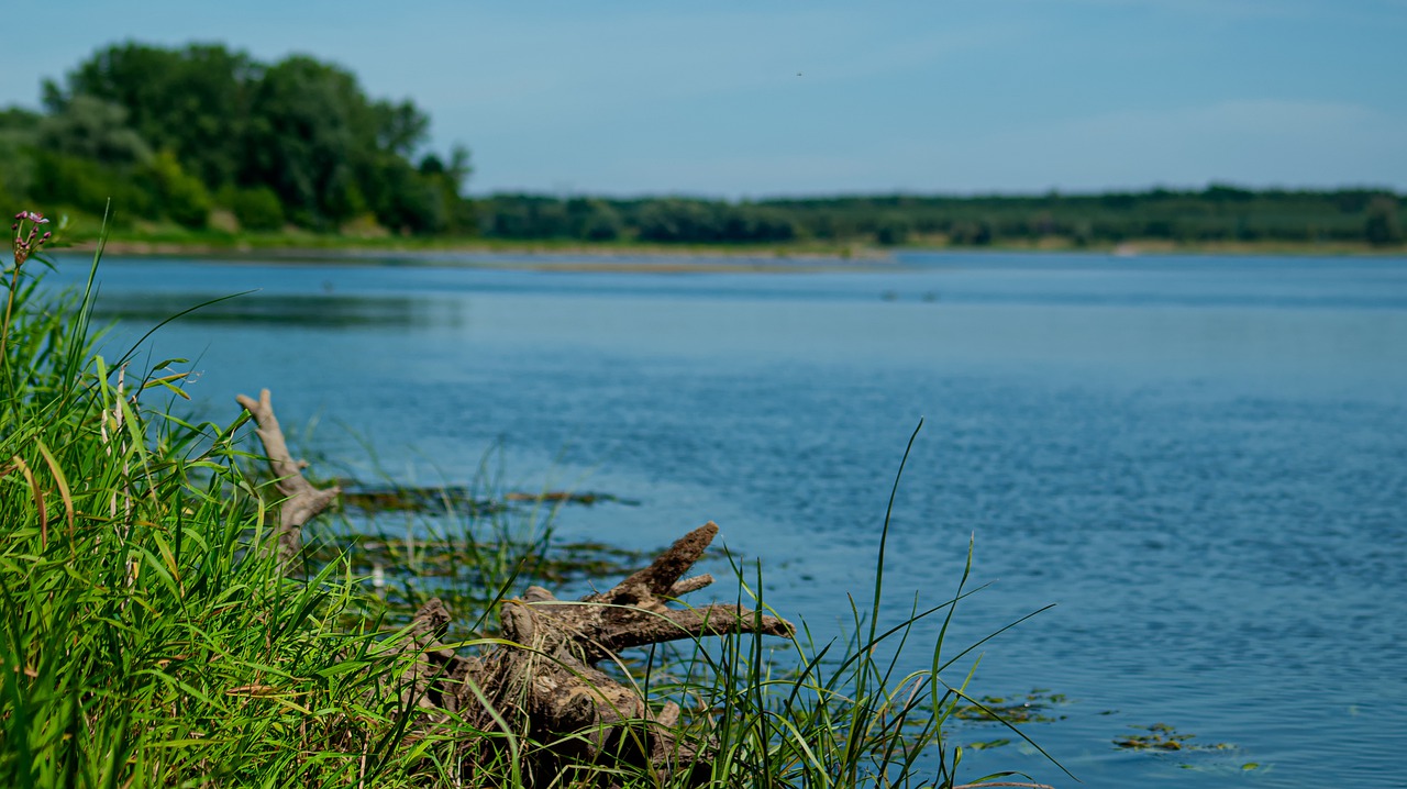 river  nature  wisla free photo