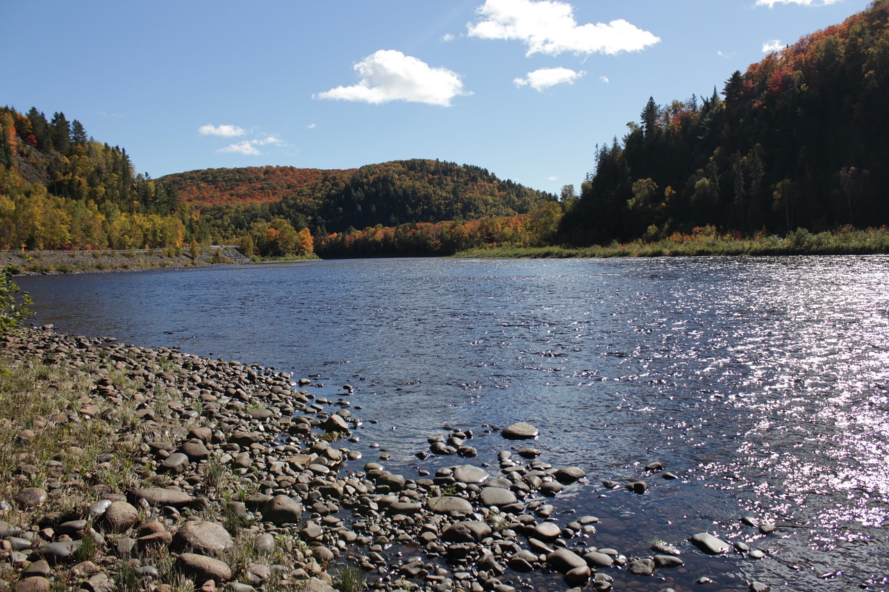 river lake rocks free photo