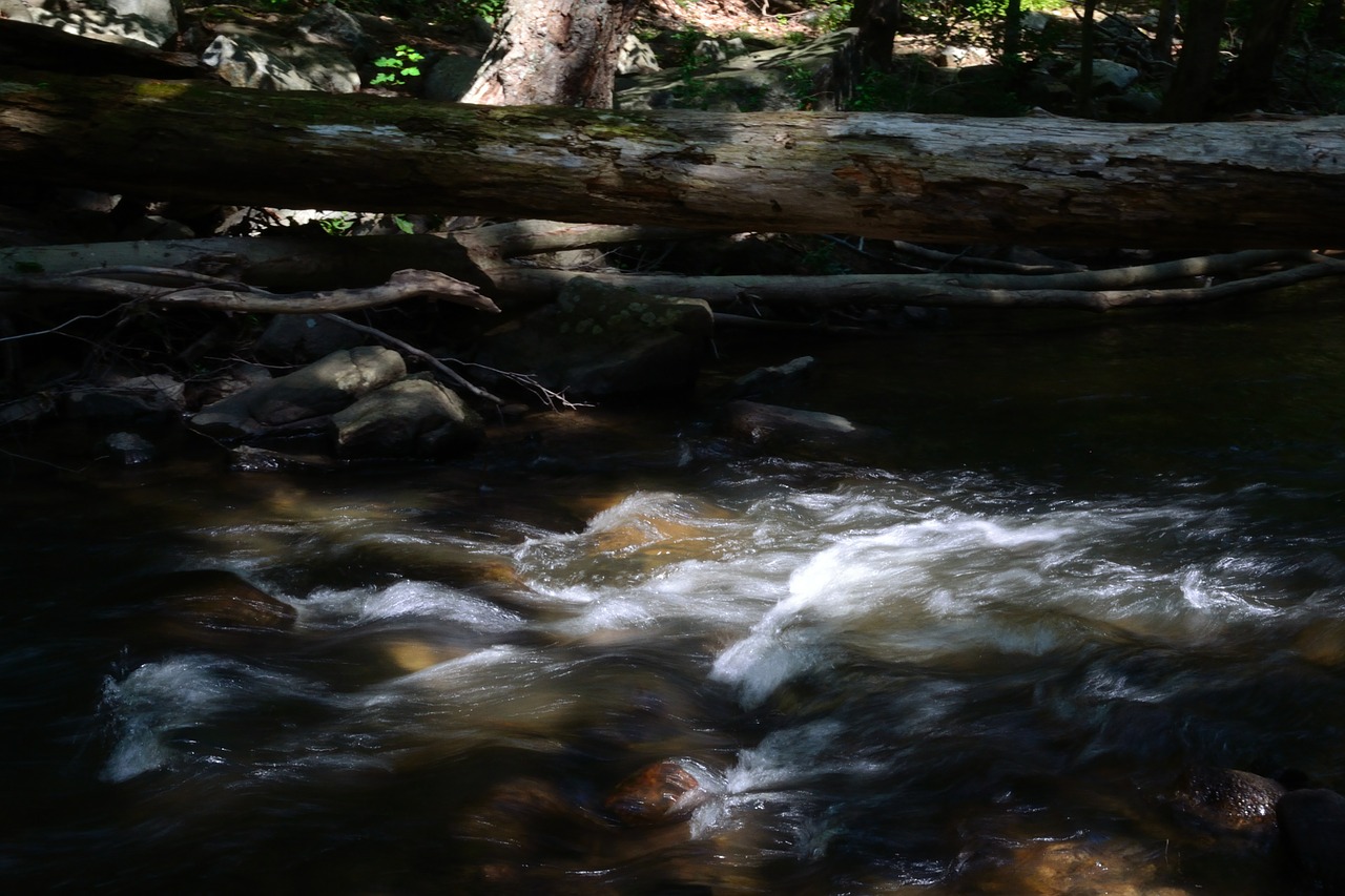 river stream nature free photo