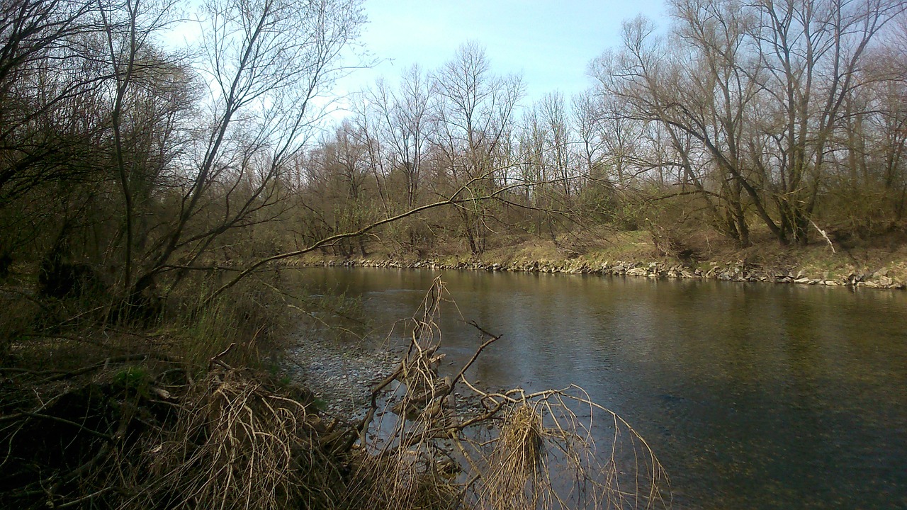 river nature wilderness free photo