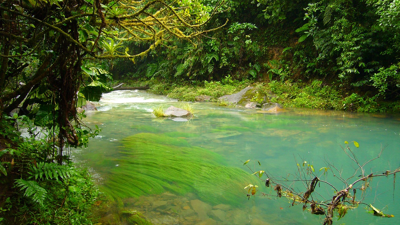 river water celeste free photo