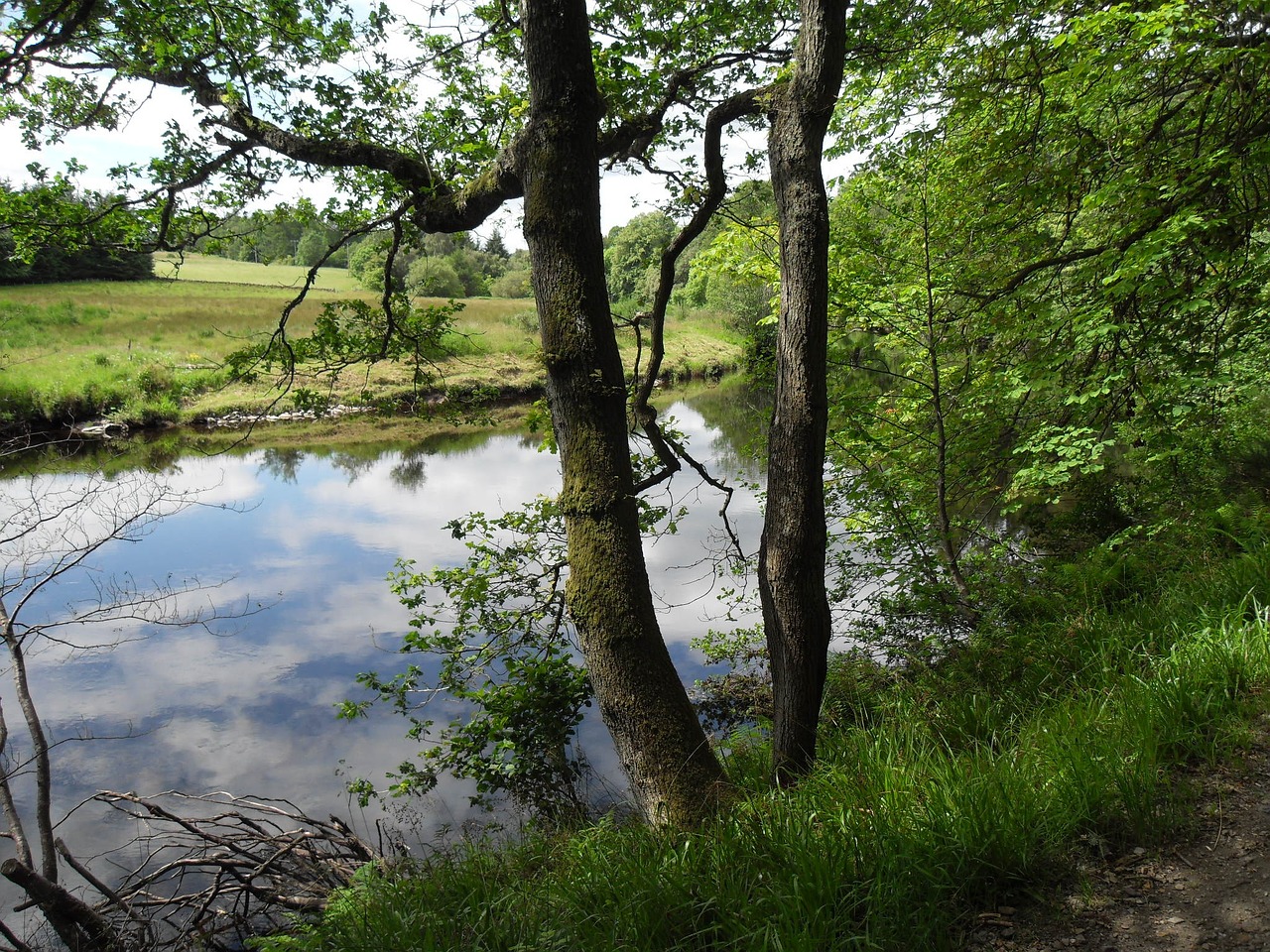 river calm water free photo