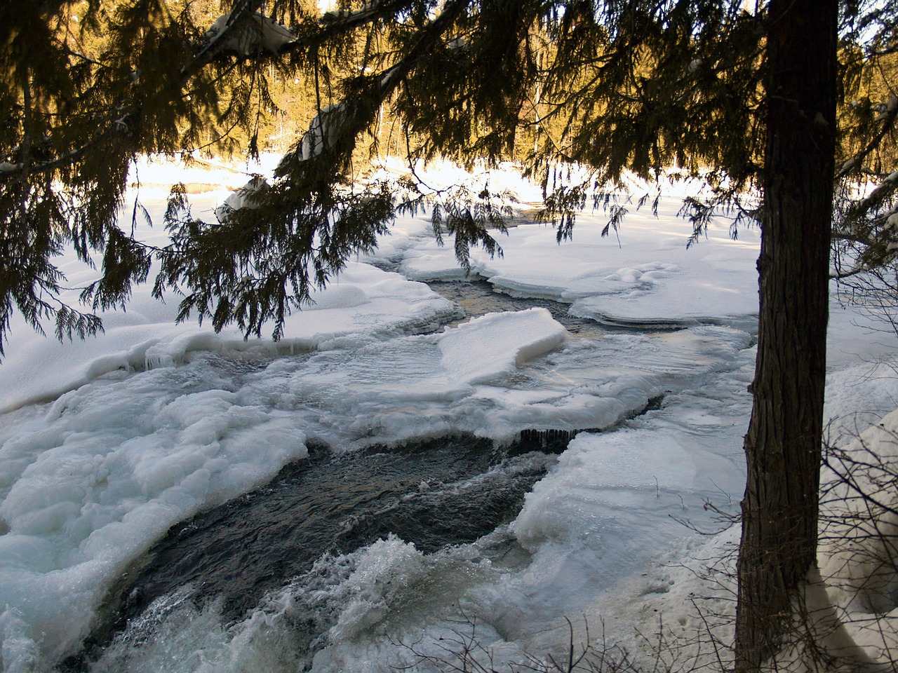 river frozen ice free photo