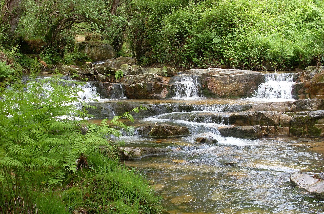 river nature water free photo