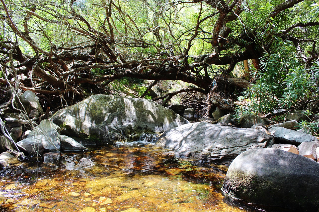 river south africa bach free photo