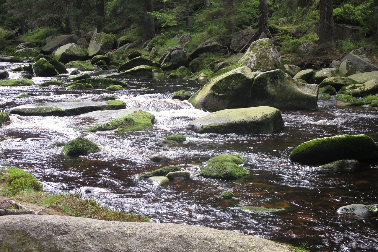 river šumava stones free photo