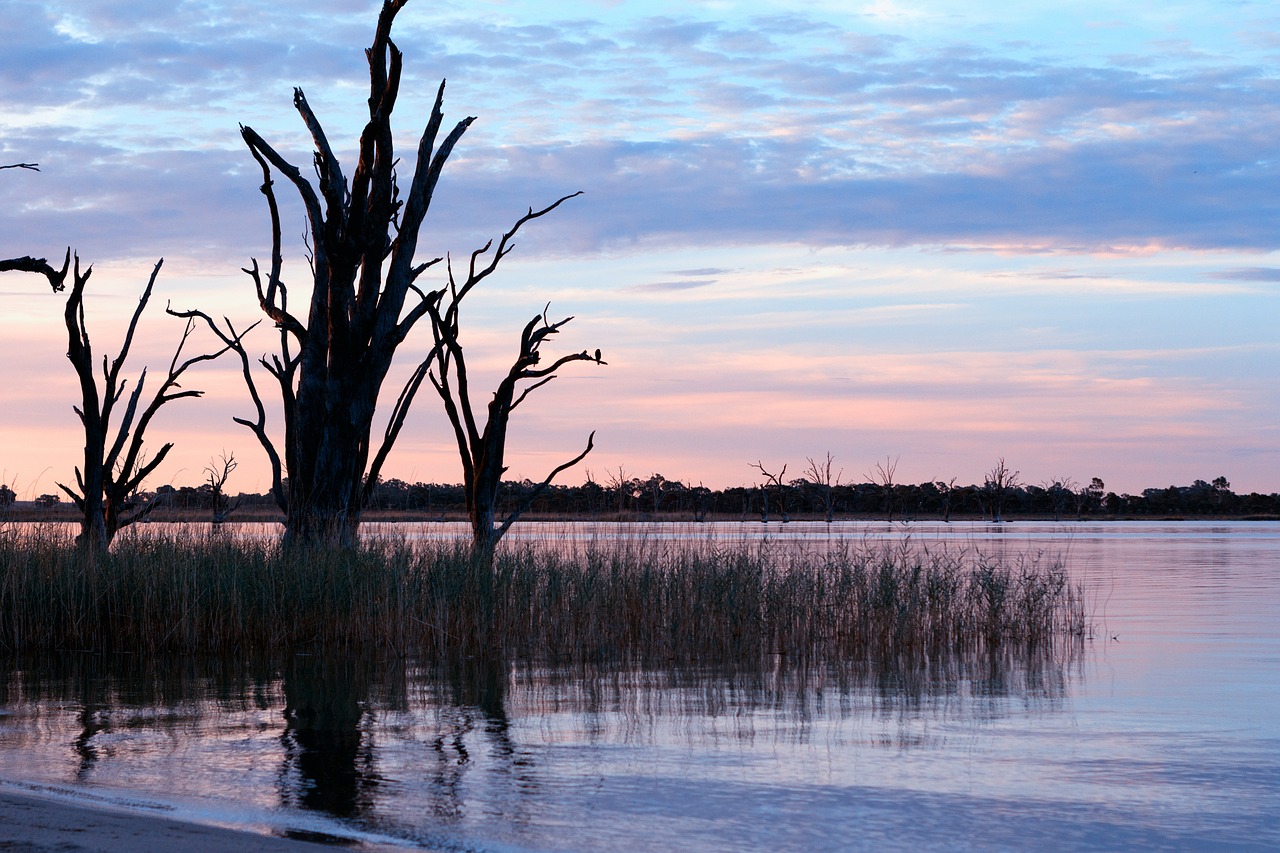 river australia scenic free photo