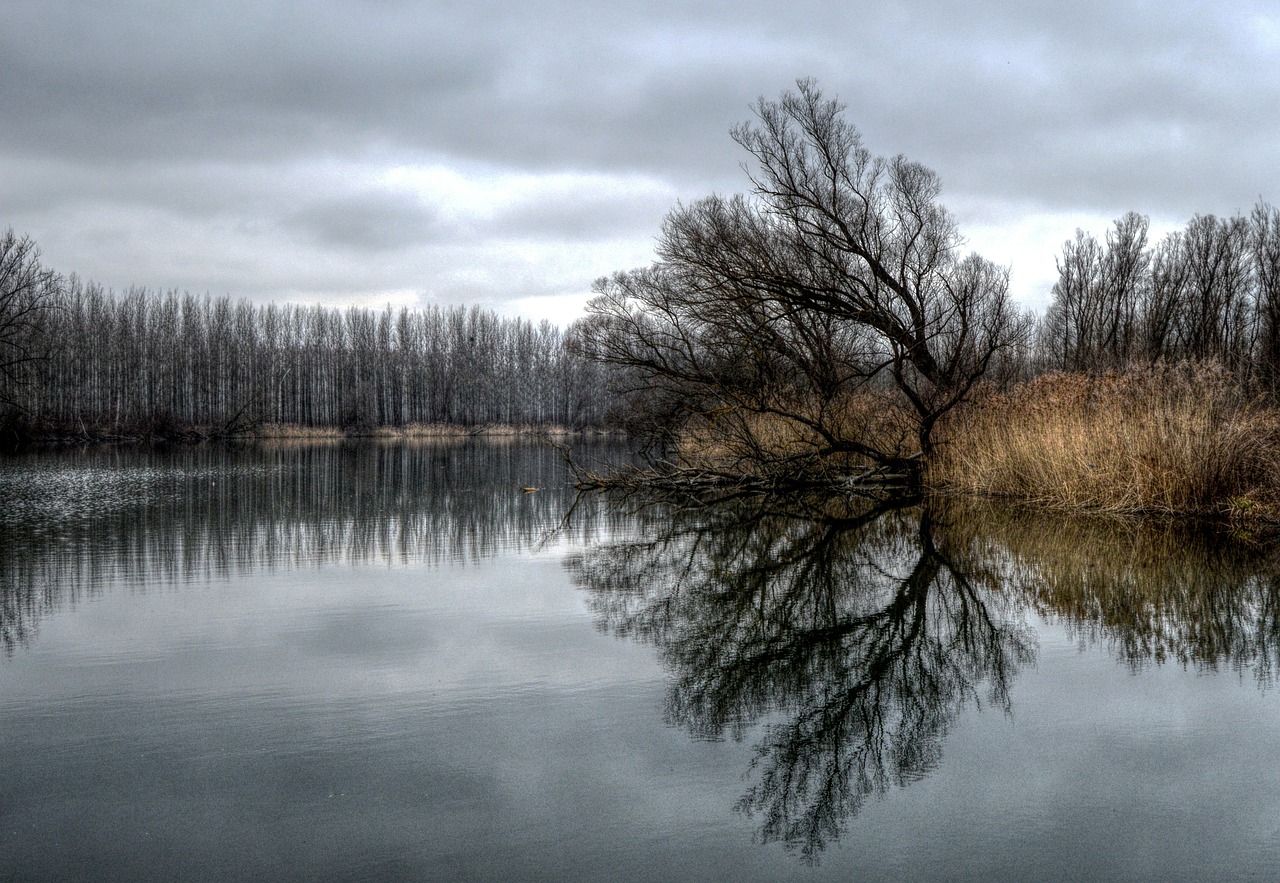 river the danube arm of the river free photo