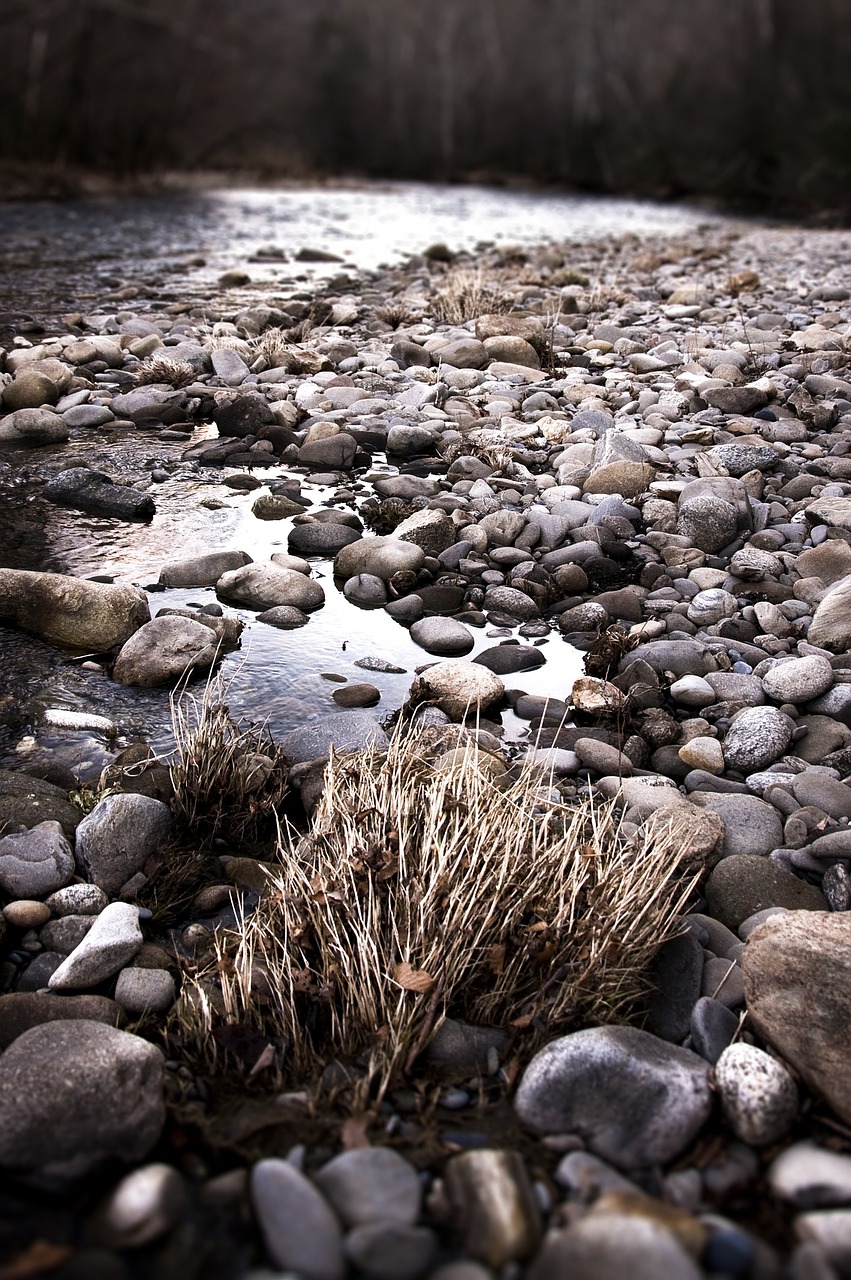 river stream creek free photo