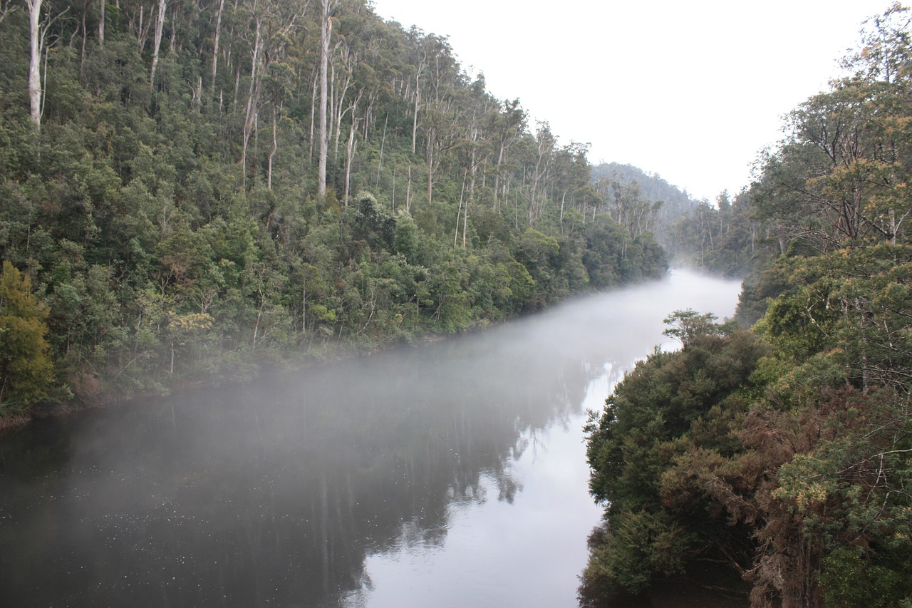 river fog mist free photo