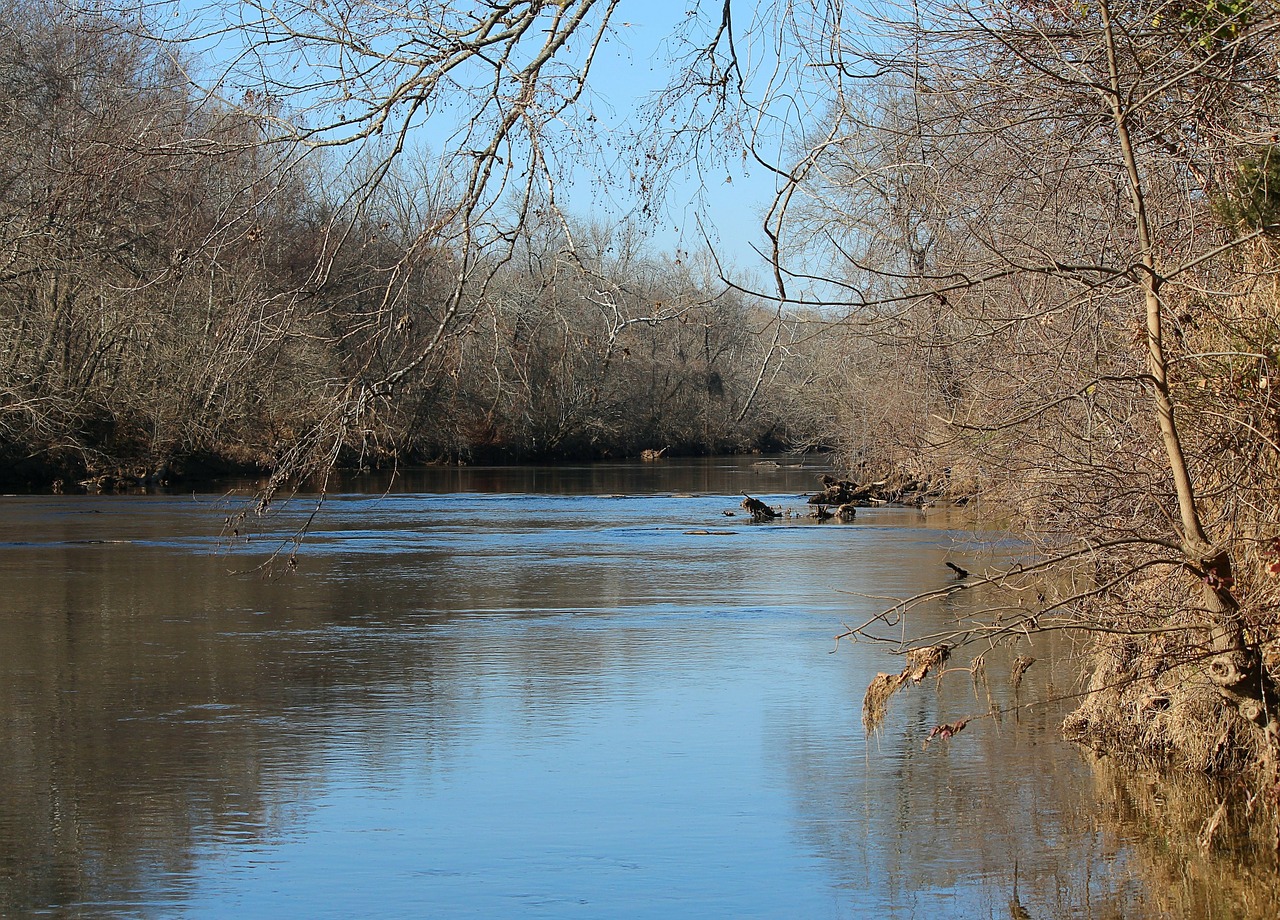 river creek river bank free photo