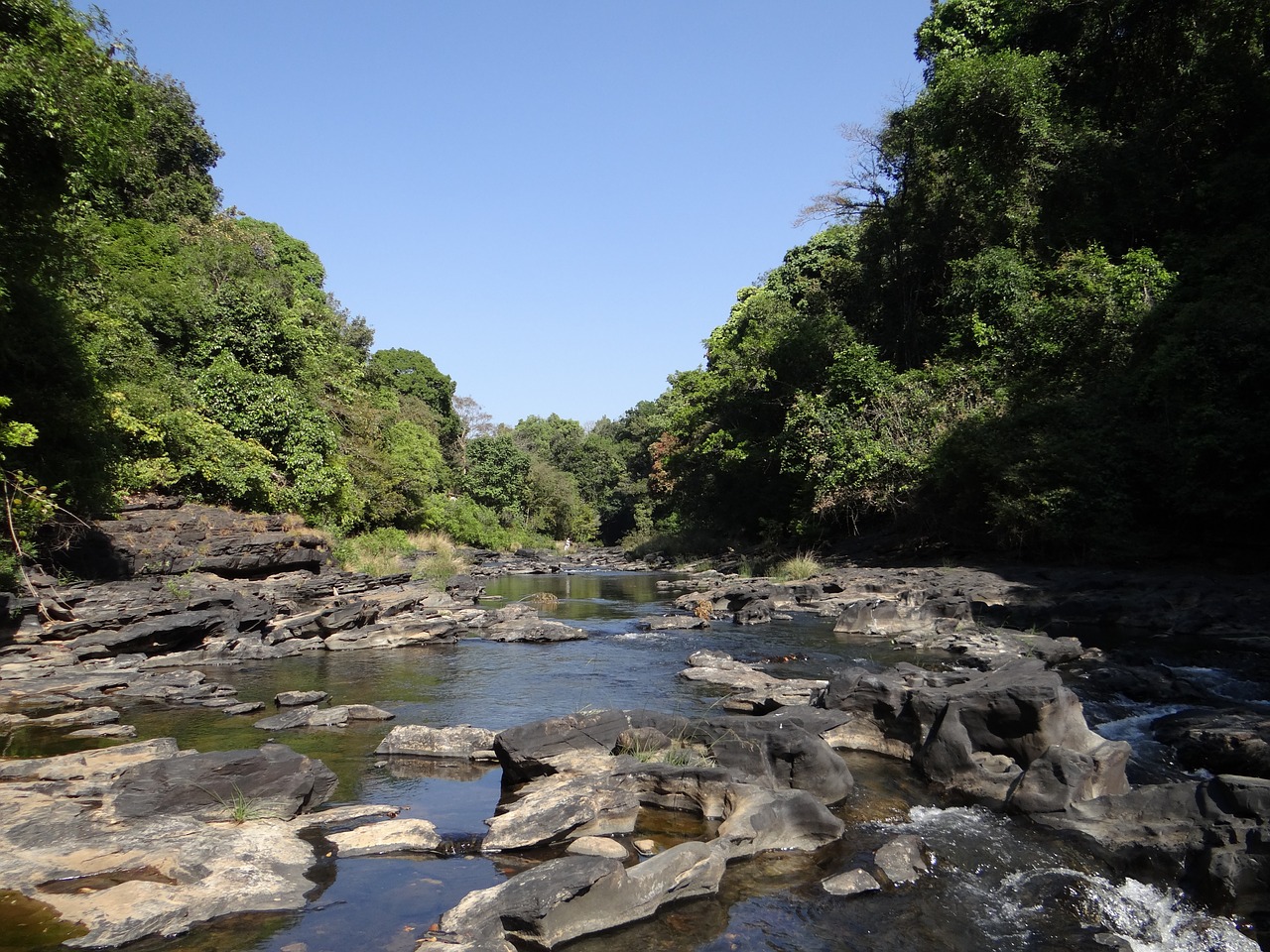 river mandovi river bed free photo