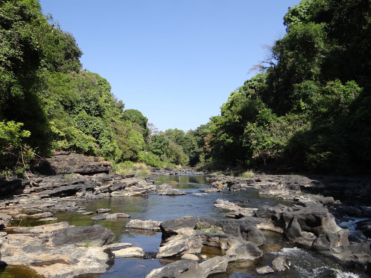 river mandovi river bed free photo