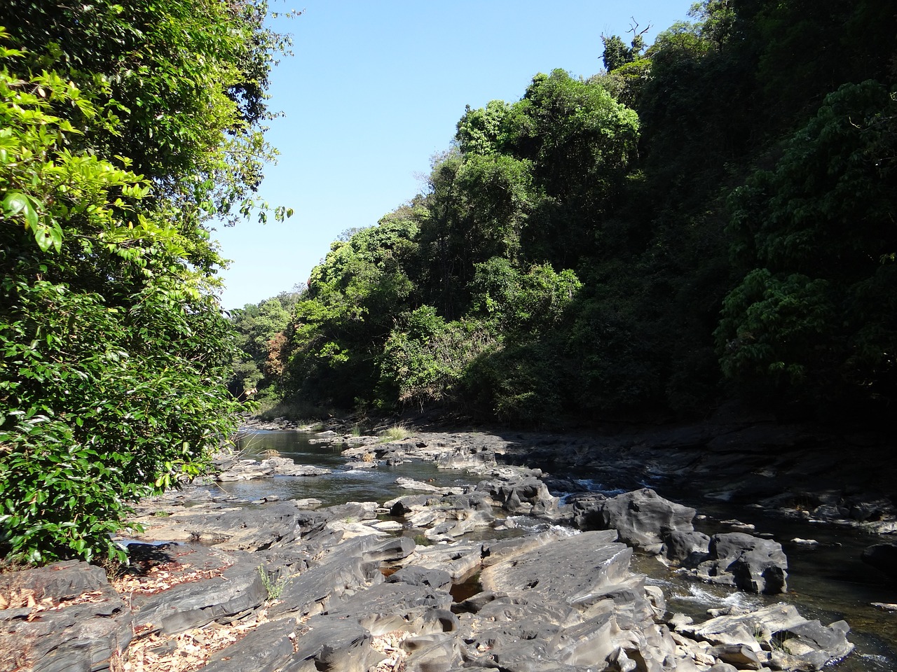 river mandovi river bed free photo