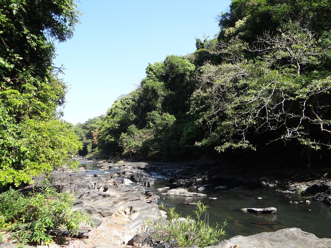 river mandovi river bed free photo