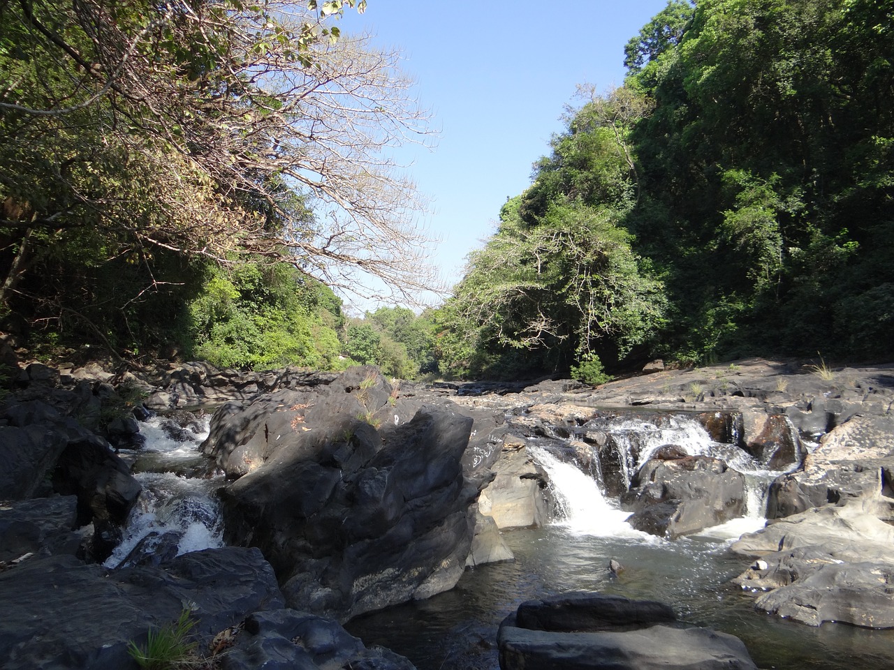 river mandovi river bed free photo