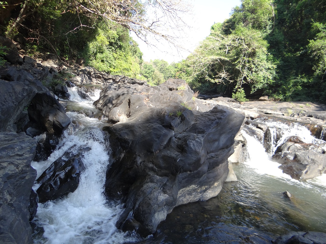 river mandovi river bed free photo