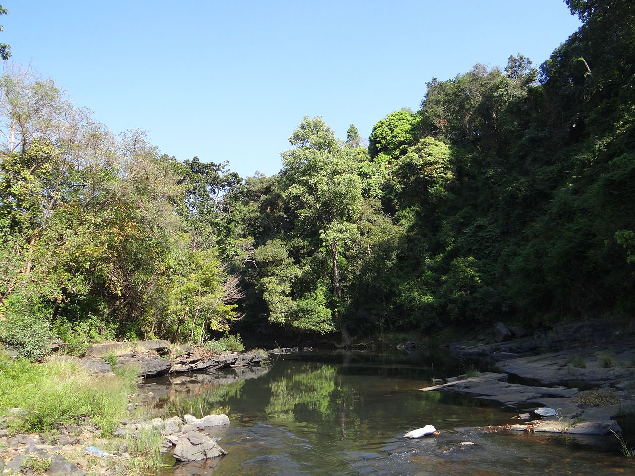 river mandovi river bed free photo