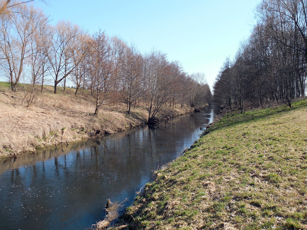 river bank water free photo