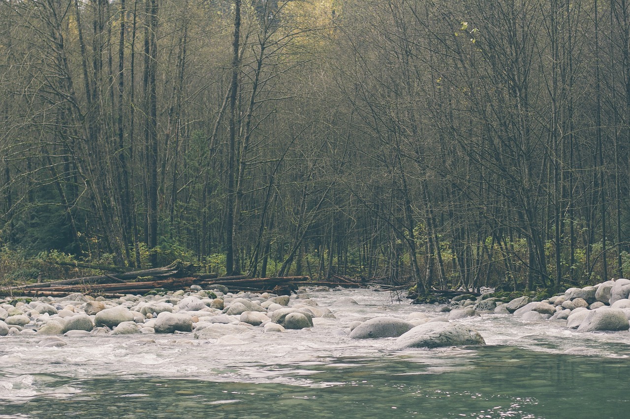 river water rocks free photo