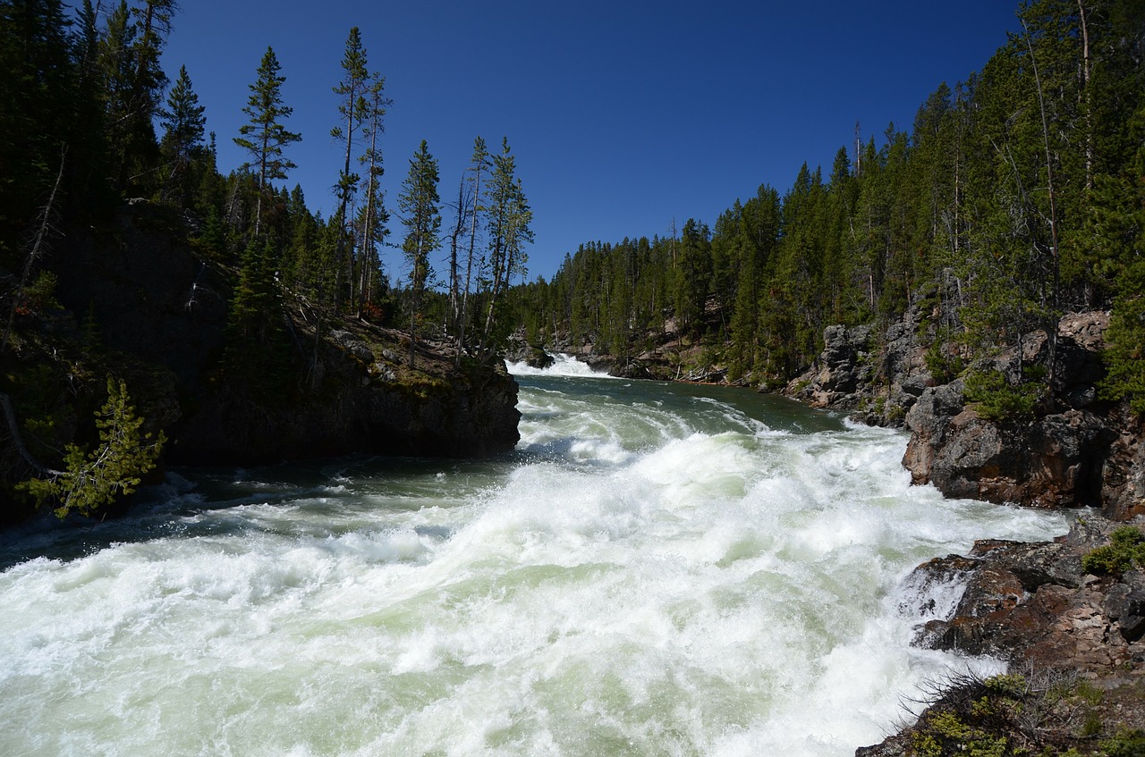 river upper falls yellowstone free photo