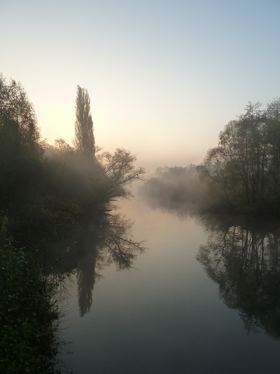 river nature morning free photo