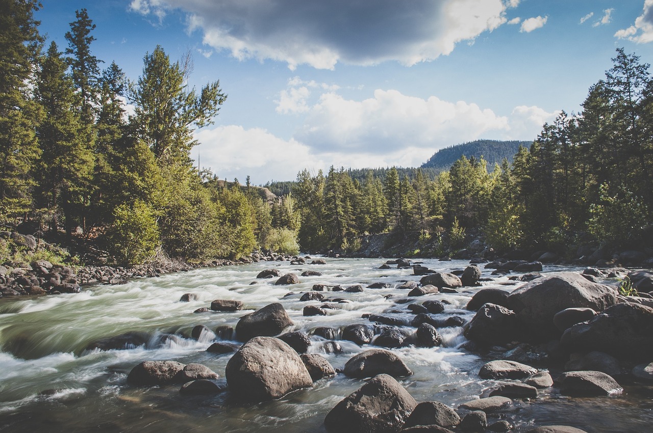 river stream water free photo