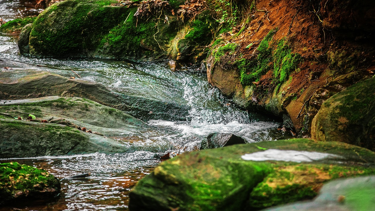 river stream rocks free photo