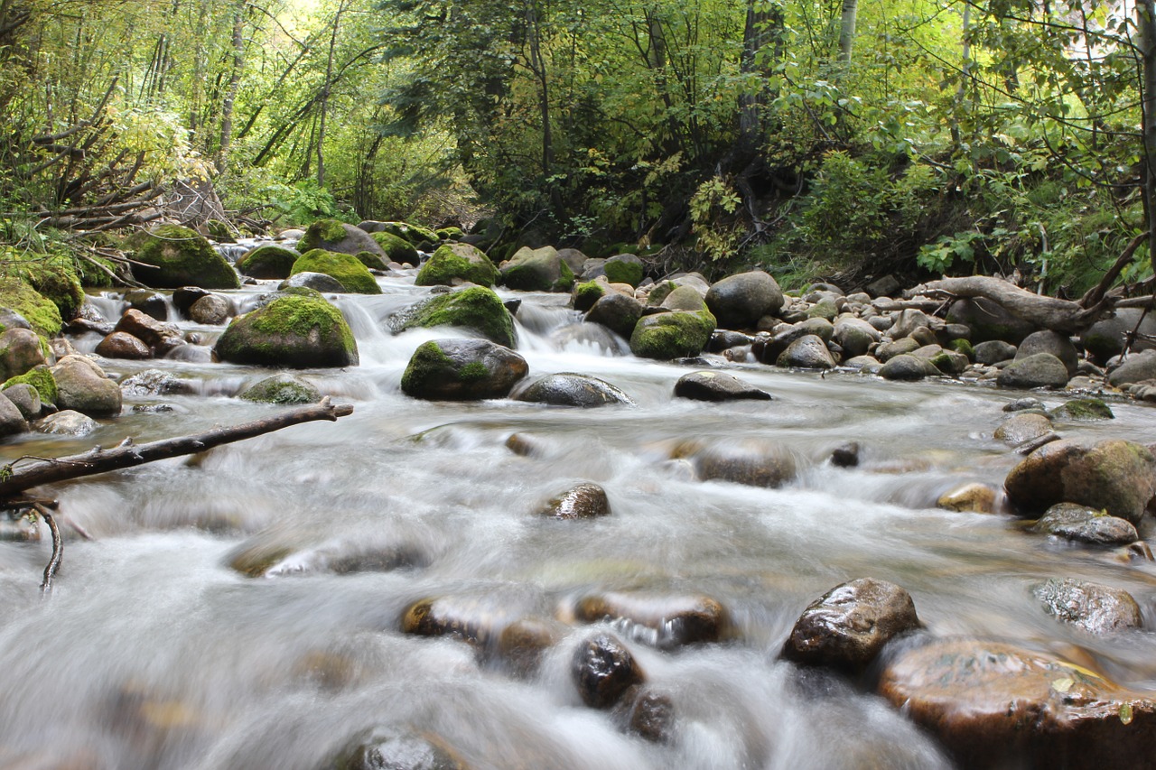 river stream water free photo