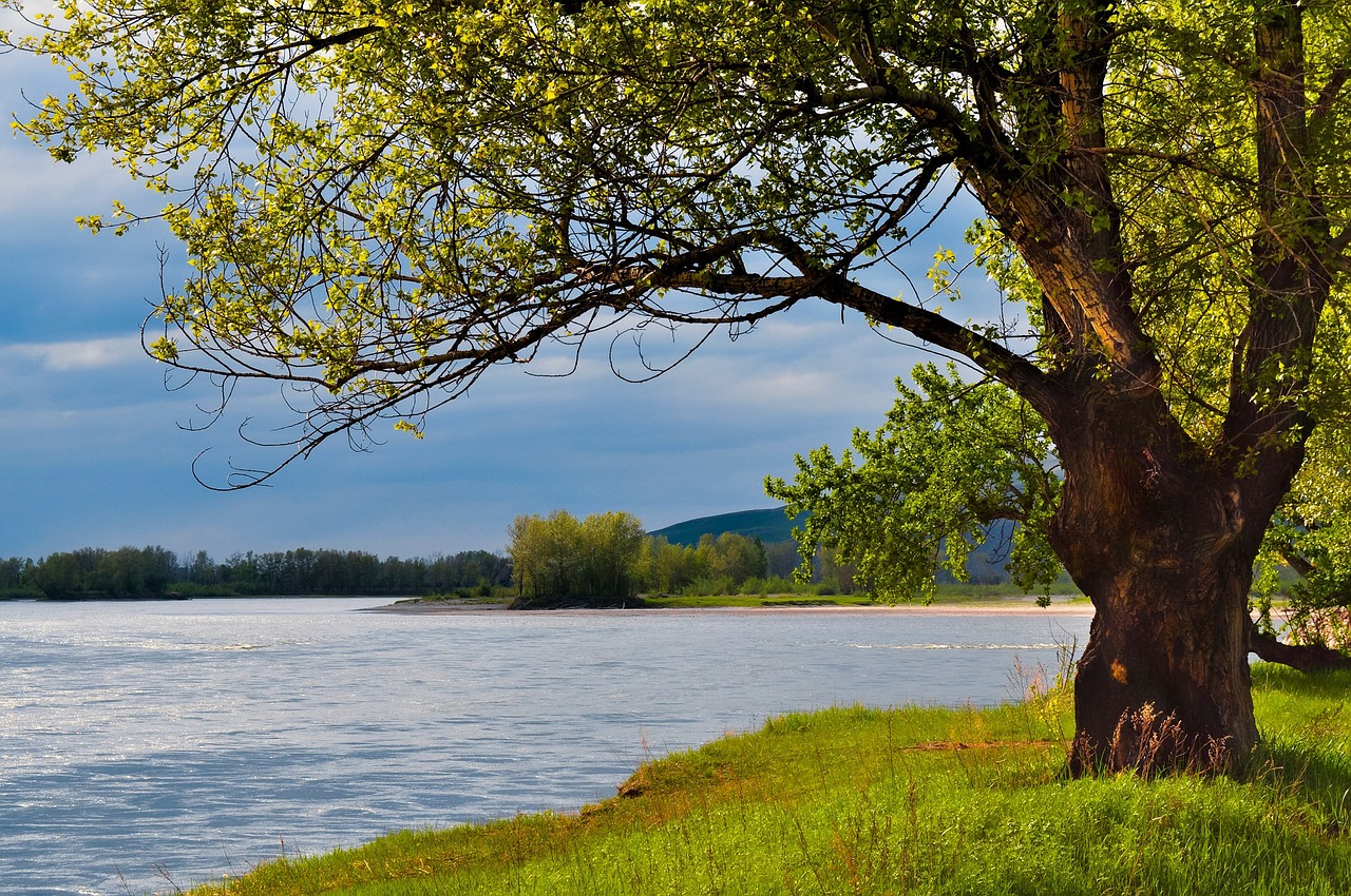 river sunset night free photo