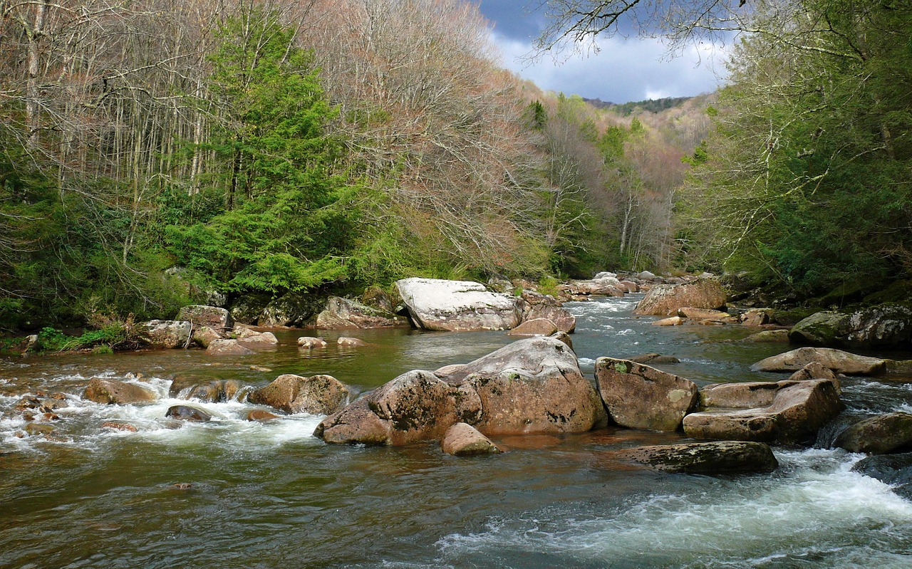river rapids landscape free photo