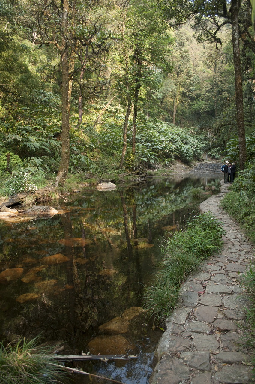 river water vietnam free photo