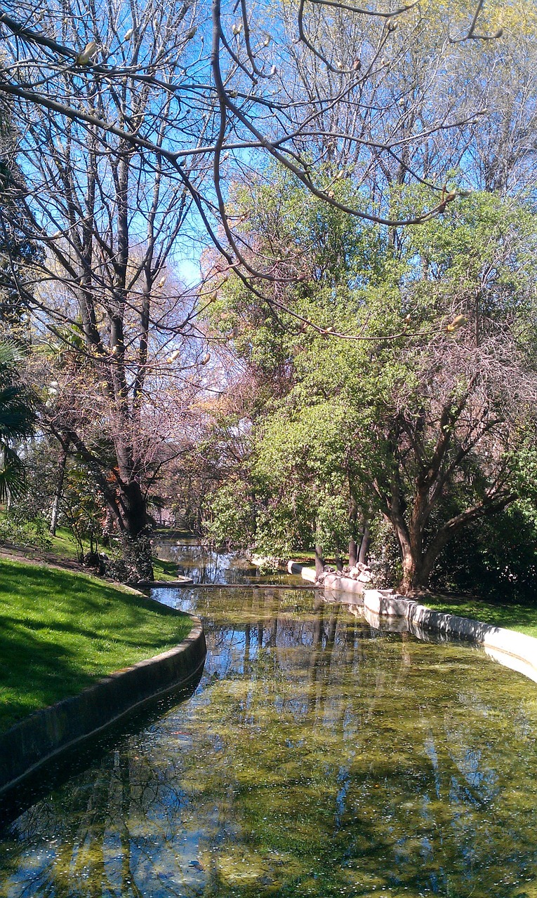 river arboleda nature free photo