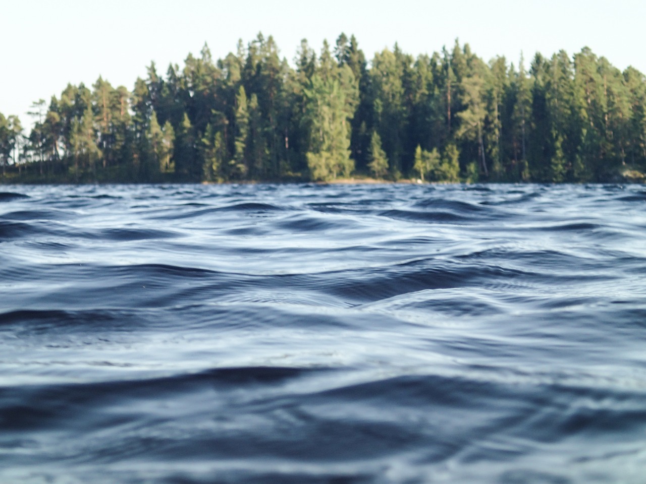 river water trees free photo