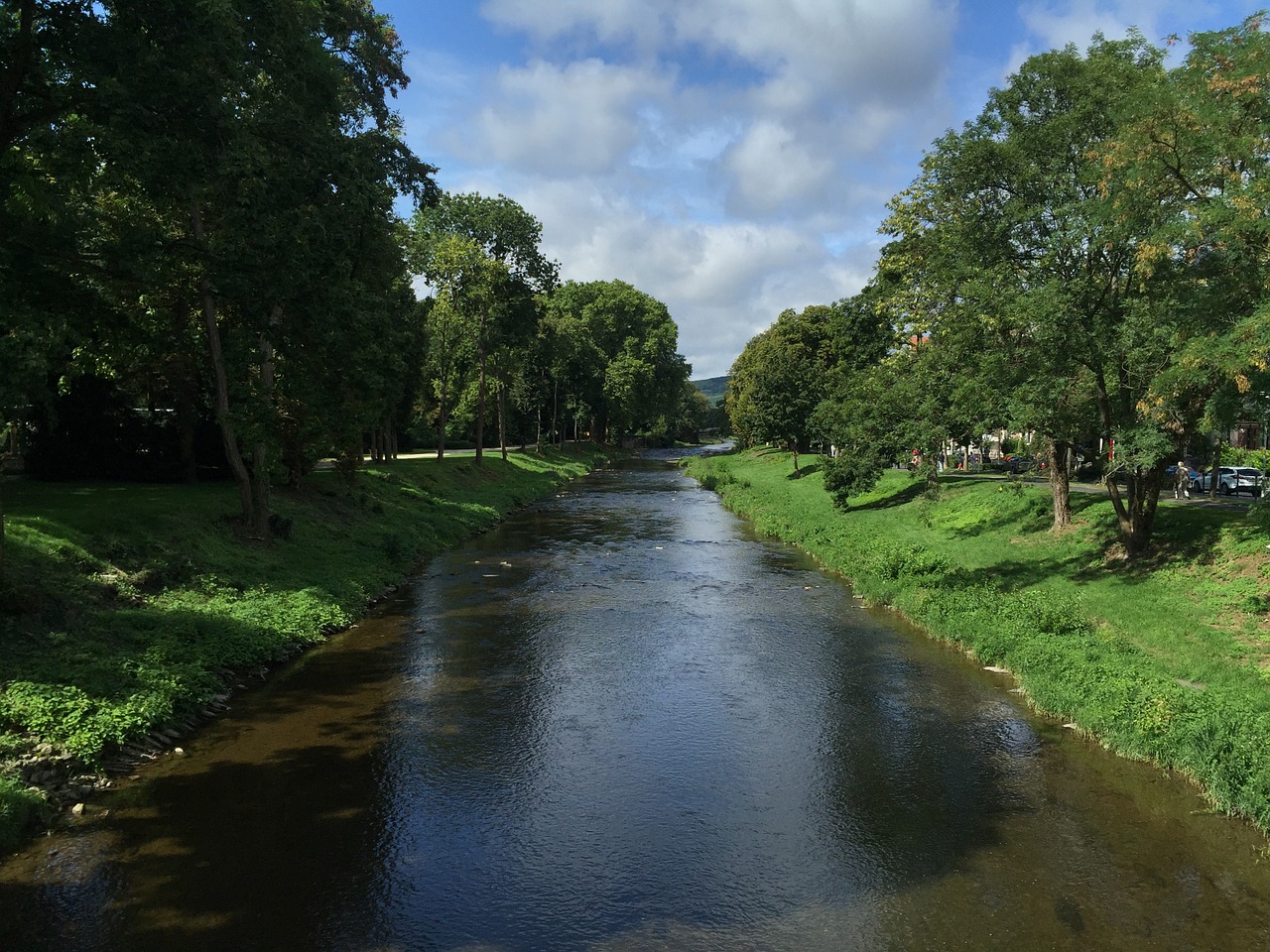 river trees nature free photo